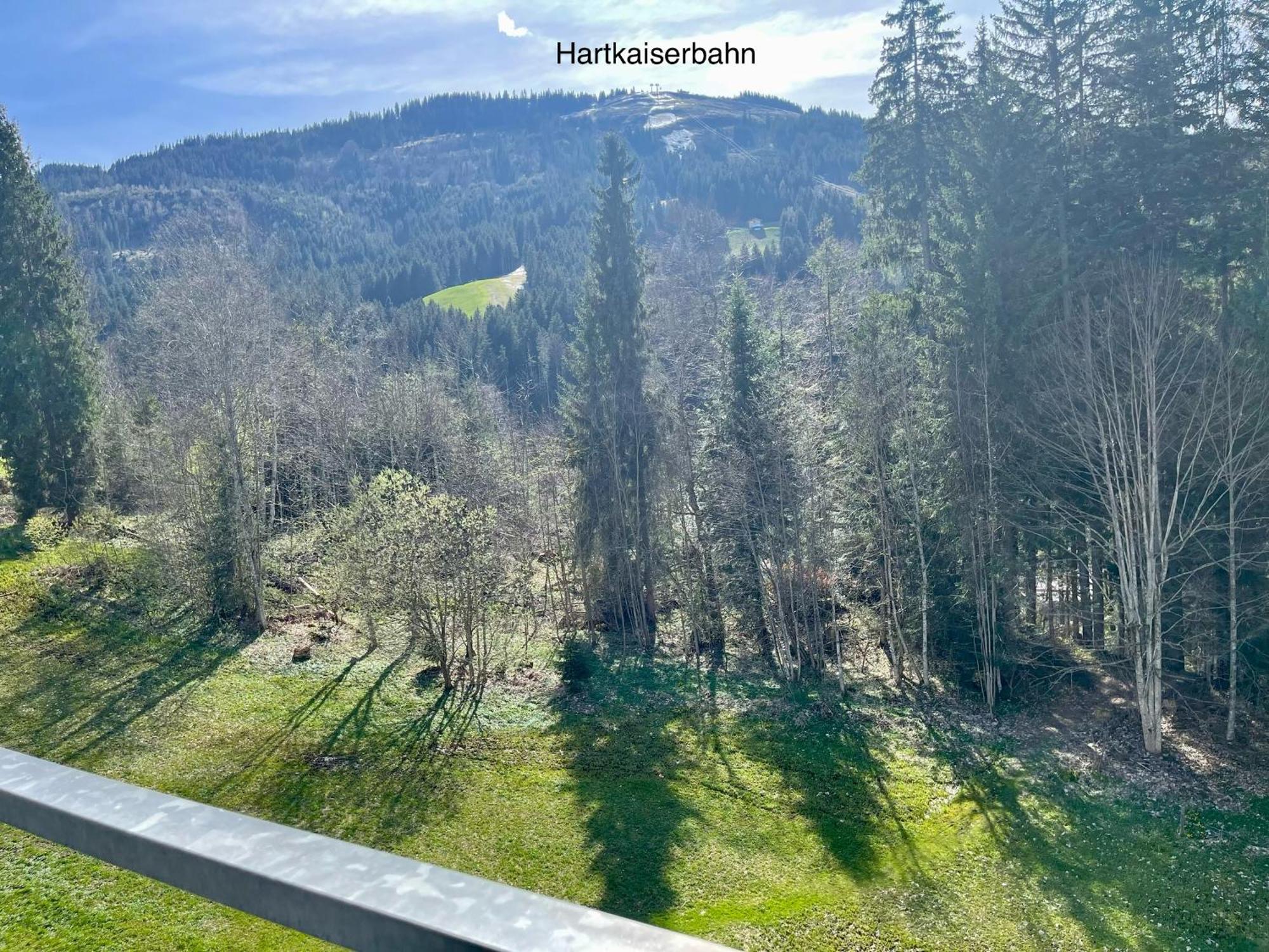 Apartment Berghof Ellmau Dış mekan fotoğraf