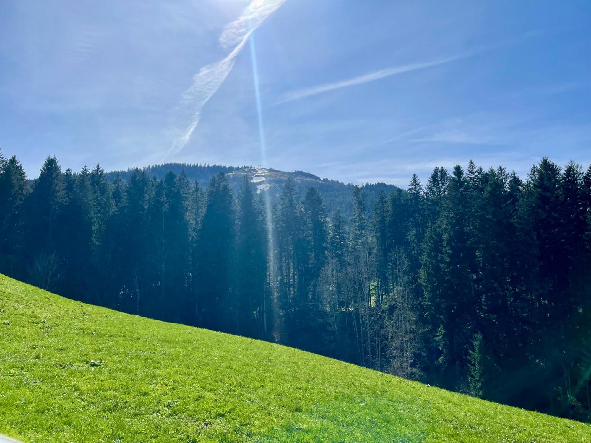 Apartment Berghof Ellmau Dış mekan fotoğraf