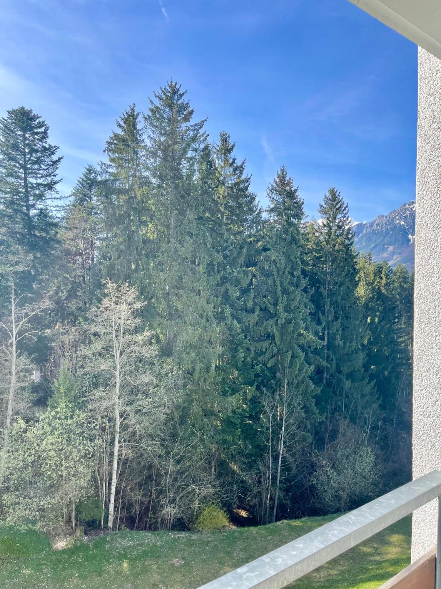Apartment Berghof Ellmau Dış mekan fotoğraf